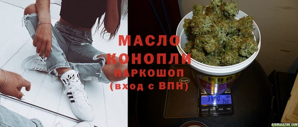 хмурый Алексин