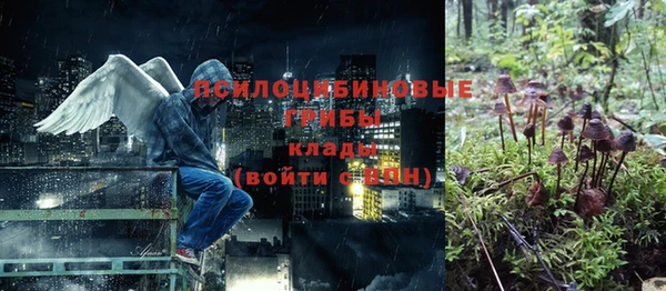 хмурый Алексин