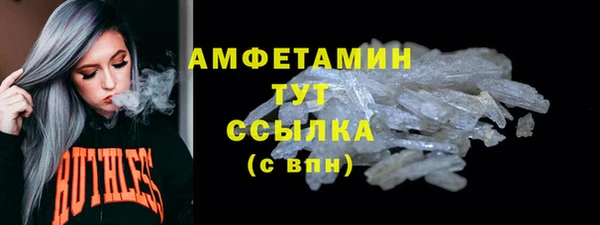 дмт Осташков