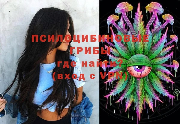 хмурый Алексин