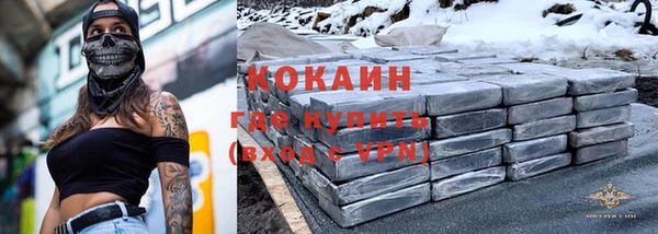хмурый Алексин