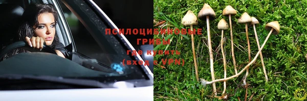 каннабис Алексеевка