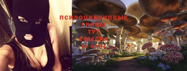 хмурый Алексин