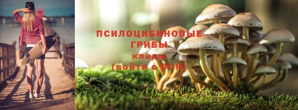 каннабис Алексеевка