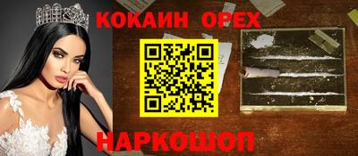 молекула духа Кингисепп