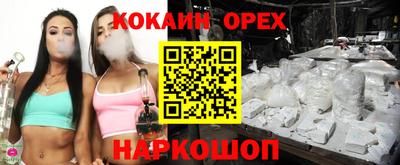 молекула духа Кингисепп