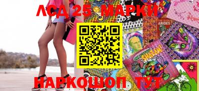 молекула духа Кингисепп