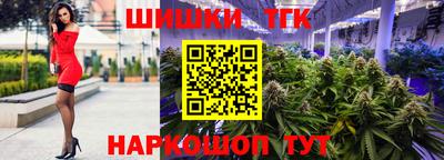 молекула духа Кингисепп