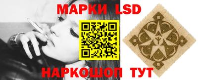 молекула духа Кингисепп