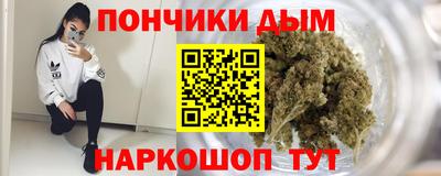 молекула духа Кингисепп