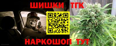 молекула духа Кингисепп