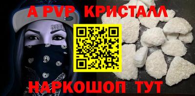 молекула духа Кингисепп