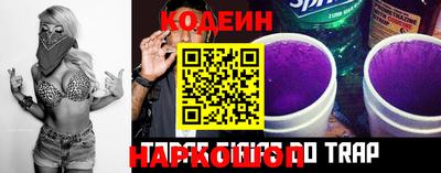 молекула духа Кингисепп