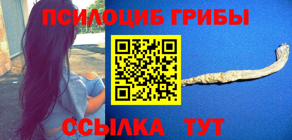 наркотики  Галлюциногенные грибы Psilocybine cubensis  Самара  Вход с VPN  Псилоцибиновые грибы мухоморы 